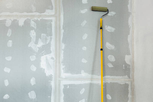 Best Environmental Consulting for Mold Prevention  in Bunkie, LA