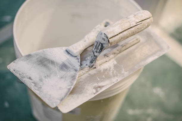 Best Mold Odor Removal Services  in Bunkie, LA